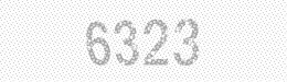 Visual security code — type the characters shown in the image