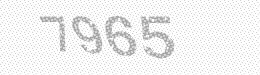 Visual security code — type the characters shown in the image